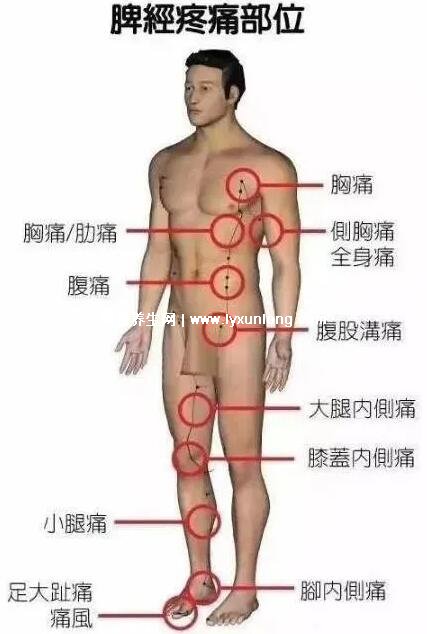 人体器官疼痛位置图解，人体18个痛点的准确位置图