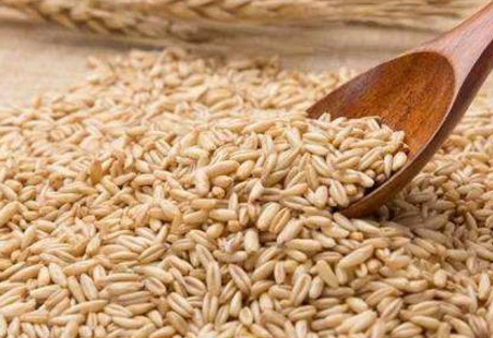 麦片是什么做的,食用燕麦是由植物燕麦制成的,含有丰富的膳食纤维