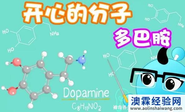 多巴胺是什么东西，是用来帮助细胞传送脉冲的化学物质
